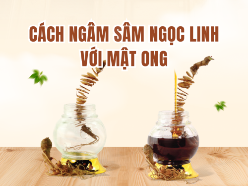 Cách ngâm sâm Ngọc Linh với mật ong chuẩn: Tỷ lệ, thời gian và cách dùng đúng